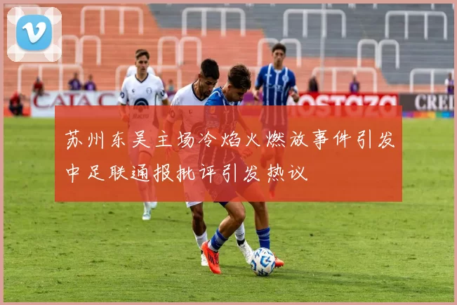 苏州东吴主场冷焰火燃放事件引发中足联通报批评引发热议