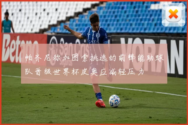 帕齐尼称加图索挑选的前锋能助球队晋级世界杯皮奥应减轻压力